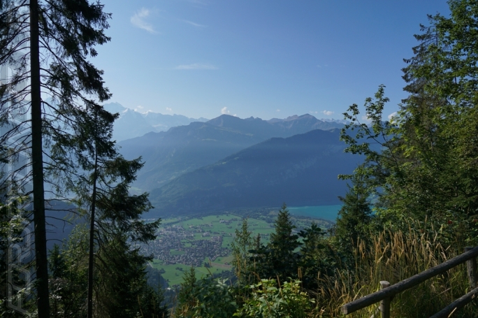 image 1 | 1