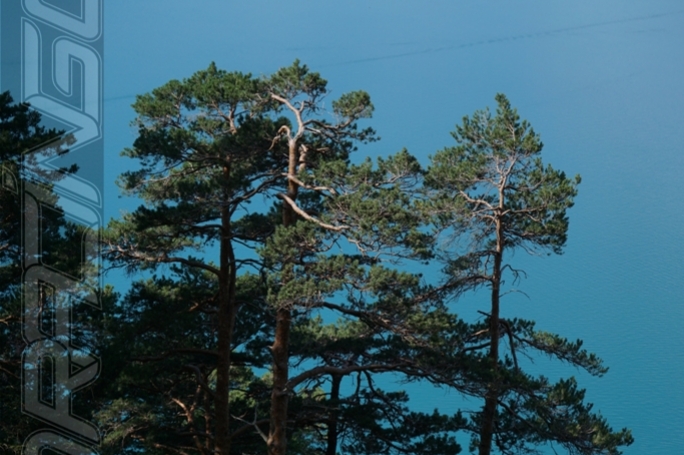 image 11 | 1