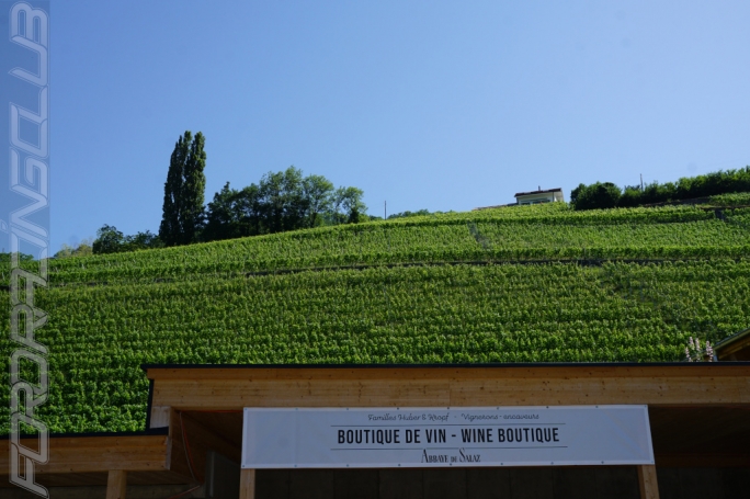 image 6 | 1