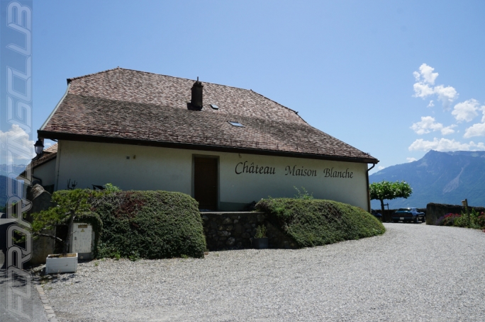 image 10 | 1